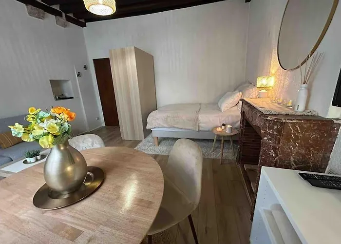 Charmant Studio En Hyper-Centre De Blois